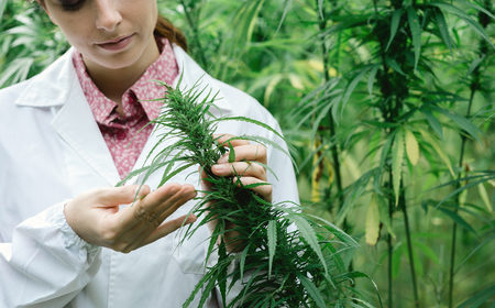 How cannabis extract could be the ultimate Acne Cure