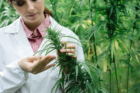 How cannabis extract could be the ultimate Acne Cure
